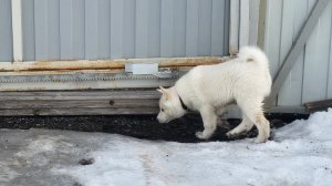 В поисках свободы