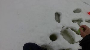 Химкинское 01.03.26 Окунь Клоп22 впай