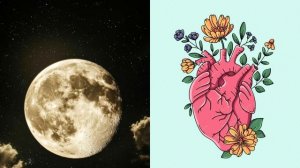 Как Луна влияет на работу сердца? Космос и биологические ритмы