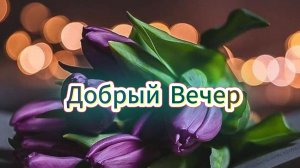 Добрый вечер пусть вечер будет добрым всем хорошего вечера 🌆✨
