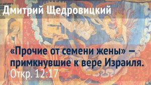 Откровение 12, 17: Прочие от семени жены