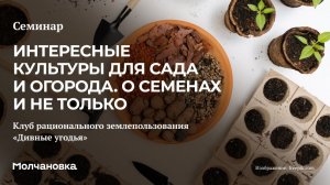 5 сезон 16 семинар. Интересные культуры для сада и огорода. О семенах и не только