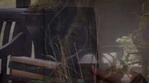 #Акцентор - от автора Вероники Десмонд, вторая книга цикла «Импринт».