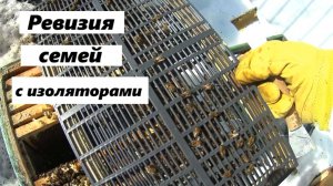 Ревизия семей с изоляторами.