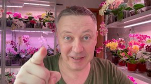 Жизнь вне орхидей- как продвигается МОЁ ХУДЕНИЕ - за 39 дней минус 13 кг и какие ОЩУЩЕНИЯ