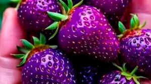 Сгенерированные нейросетями саженцы продают на маркетплейсах