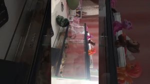 сори что трансляция спала.у меня подаёт приехали.