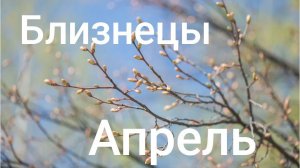 Таро расклад для Близнецов на апрель 2026 года