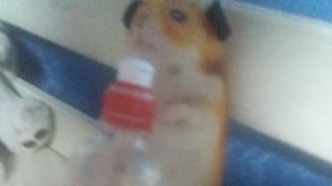 Мой эксперимент!