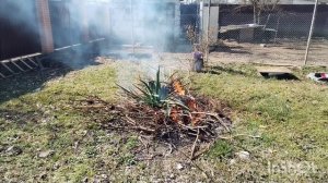 Как все успеть? Весна ударила не только в голову🤭