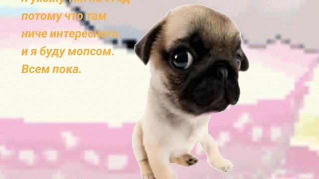 #Не рофл. #Не рофл. #Не рофл. #Не рофл. #Не рофл. #Не рофл. #Не рофл. #Не рофл. #Тут нету рофла.