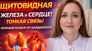 Щитовидная железа и сердце! Тонкая связь