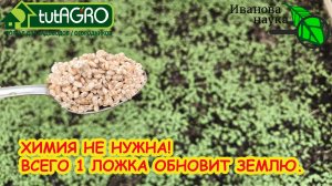 ХИМИЯ больше НЕ НУЖНА! Всего 1 ложка на ведро и земля станет как новая: чистая, жирная, плодородная!