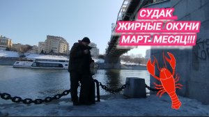 МНОГО ПОКЛЁВОК ЛОВЛЯ НА СПИННИНГ ДЖИГ РЫБАЛКА