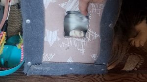 Незваный гость (смотреть до конца)