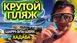 Египет 2026 🌴 Погружаемся в рай! Пляж, где ВСЕ ВКЛЮЧЕНО | Отель Xperience St  George 4*