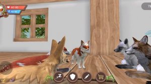 История лиры два