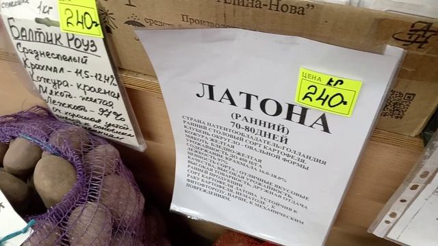 В САДОВОМ МАГАЗИНЕ КАРТОФЕЛЬ, ЛУК И РОЗЫ.
