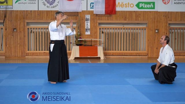 9.Aikido Shomen Uchi Ikkyo Omote Shishiya Sensei Pilsen 2023