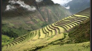 Полёт кондора