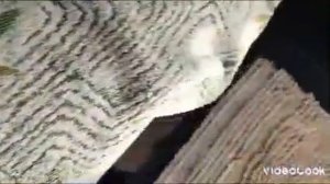 Новая работа.