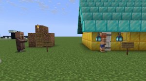 Дом жителя VS Дома игрока Федя Minecraft
