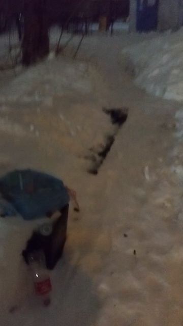 №1695 Двор П. Осипенко 48. 13 марта 2026 г., 21:53:14 VID_20260313_215234436