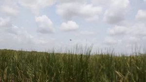 Дух Эверглейдс: Травяная река Флориды
