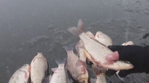 КАРАСЬ ДУРЕЕТ-СНАСТЬ ЗИМНИЙ ВЕРТОЛЁТ.САМАЯ УЛОВИСТАЯ СНАСТЬ НА карАСЯ ЗИМОЙ.