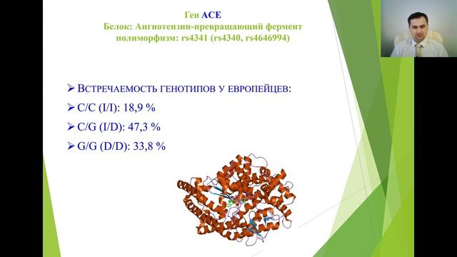 История спортивной генетики