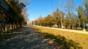 Немного парка Поддубного!