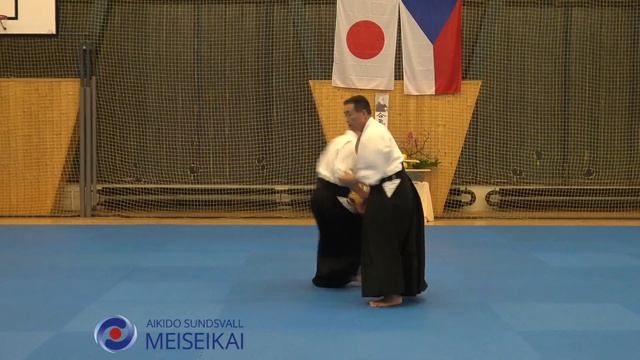 2.Aikido Ai Hanmi Do Barai Kokyonage Pilsen, Shishiya Sensei Oktober 2018