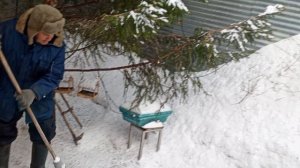 белки ролсыпаются