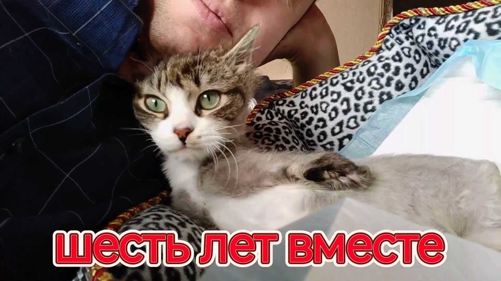 Юбилей Алекса