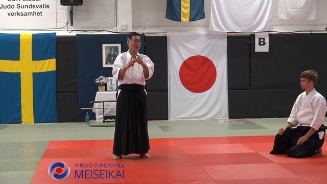 2.Aikido Ai Hanmi Ikkyo Omote Low Position 2nd hand, Shishiya Sensei Sunds