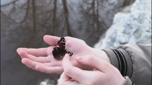 ВЕСНА!!! Природа оживает 🦋