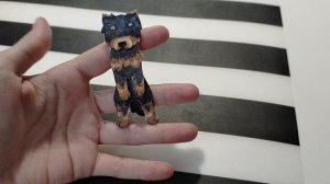 Новая собачка породы Йоркширский терьер😳😍💖(меня выписали из больницы💖)