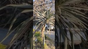 ХЕЙТЕРЮГИ ПРИВЕТ /АНЯ КОПИРУЕТ КАТЮ СОЧИ/БЕЗДОМНЫЙ СОЧИ #бомжи #бездомные #сочи