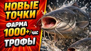 🤑 НОВЫЕ ТОЧКИ для ФАРМА РР4! МЕДНОЕ • ЛОСИНОЕ • ЛАДОЖСКОЕ • Фарм Серебра в Русской Рыбалке 4