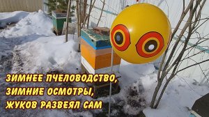 зимнее пчеловодство зимние осмотры жуков развеял сам - финал 2026