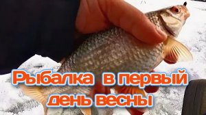 Рыбалка в начале весны: Ловим на безмотылку на Оке