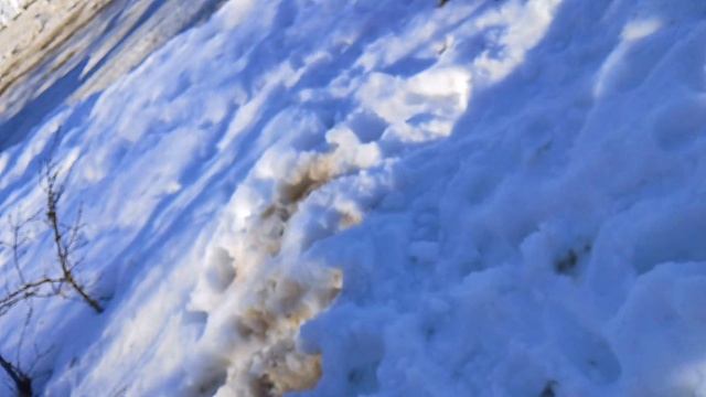 3040.mp4 смотреть онлайн