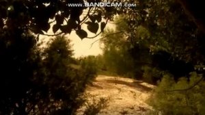 Победа! ))) х/ф Томми и волшебный мул.