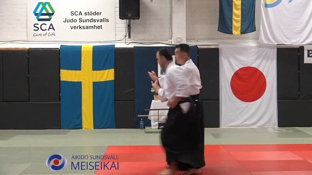 12.Aikido Gyaku Hanmi Uchikaiten Nage, Shishiya Sensei Sundsvall 2016