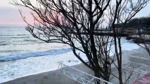 ОДЕССА 14 МАРТА 2026. ПУТИН НА ПОЛ-ШИШЕЧКИ ПОМОГАЕТ ИРАНУ. США ОТМЕНИЛИ САНКЦИИ, НО НЕФТЬ РАСТЕТ!