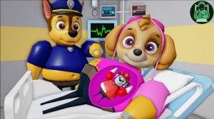 ЖЕНА ЧЕЙЗА из ЩЕНЯЧЬЕГО ПАТРУЛЯ БЕРЕМЕННА, и БАРРИ попадает в ТЮРЬМУ! Новый #Обби #Roblox