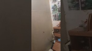 2часть вечерний влог#