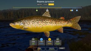 ФОРЕЛЬ РУЧЬЕВАЯ ТРОФЕЙ!!!НИЖНЯЯ ТУНГУСКА - РУССКАЯ РЫБАЛКА 4