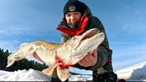 ПЕРВАЯ КРУПНАЯ ЩУКА НА ЖЕРЛИЦУ! ПЕРЕСТАВЛЯЛ ЖЕРЛИЦЫ И ВОТ ЧТО ИЗ ЭТОГО ВЫШЛО! СО СНЕГОХОДОМ НА ОЗЕРЕ