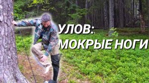 Рыба ушла в отпуск, а Антон - в озеро. Летний день в карельской избе